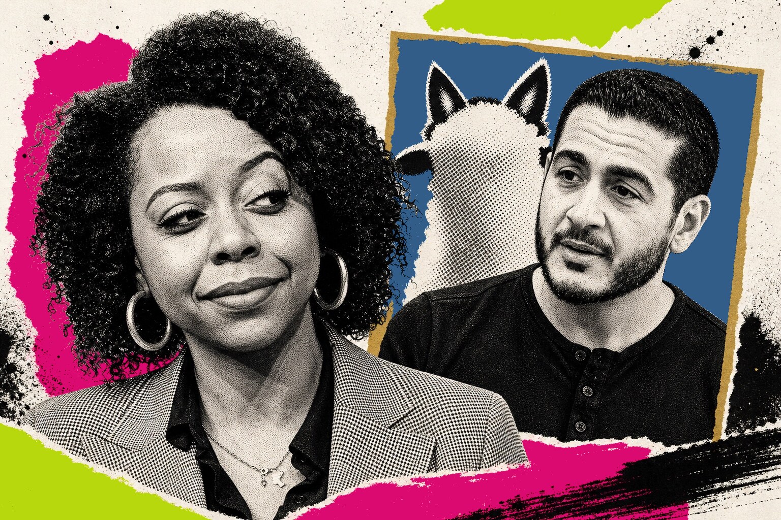 Briahna Joy Gray, Abdul El-Sayed
