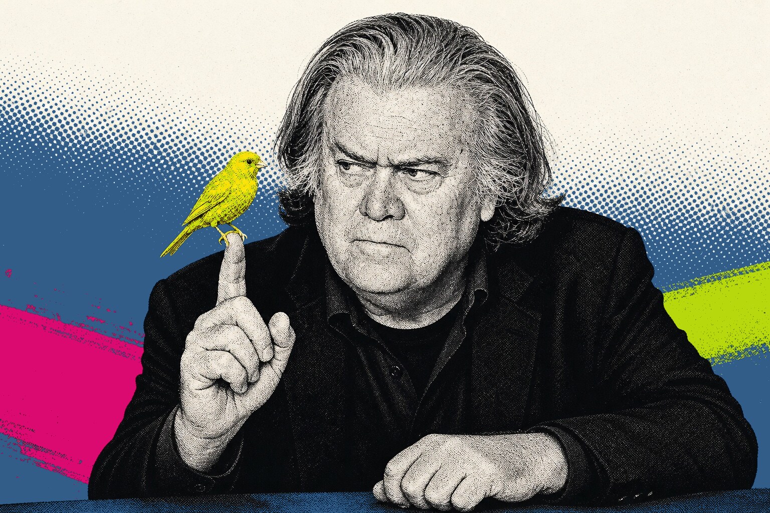 Steve Bannon